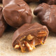 Alligators Milk Chocolate