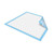 TotalDry Underpad 30" x 36" (Package of 10)