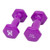CanDo Vinyl Coated Dumbbell, Violet, 2 lb., Pair