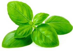 Basil Leaf - Organic