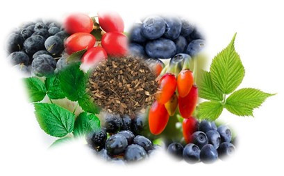 Berry Bramble Tea Blend, Tea Bags - Organic