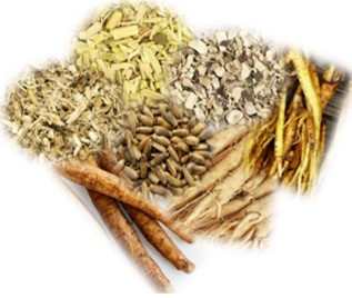 Cleansing Herbal Tea Blend, Tea Bags - Organic