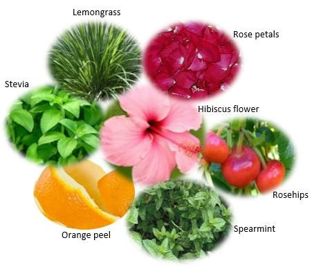 Hibiscus High Herbal Tea Blend, Tea Bags - Organic