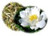 White Peony Tea, Tea Bags - Organic