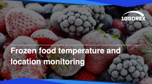 Frozen food temperature and location monitoring Frozen food temperature and location monitoring