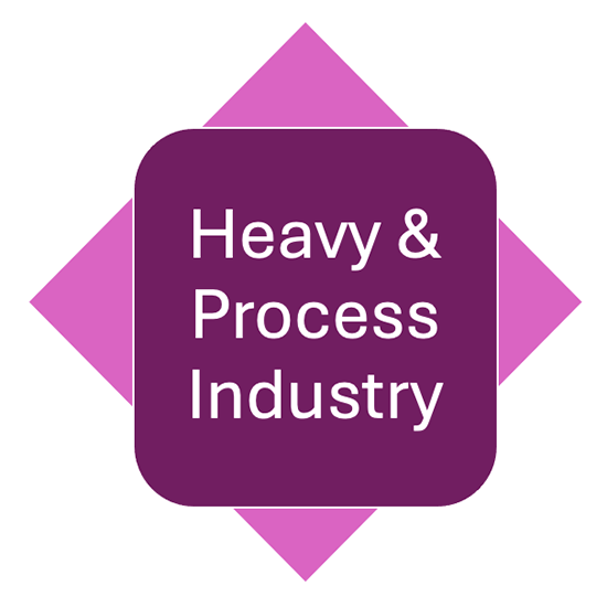 Heavy & process industry
