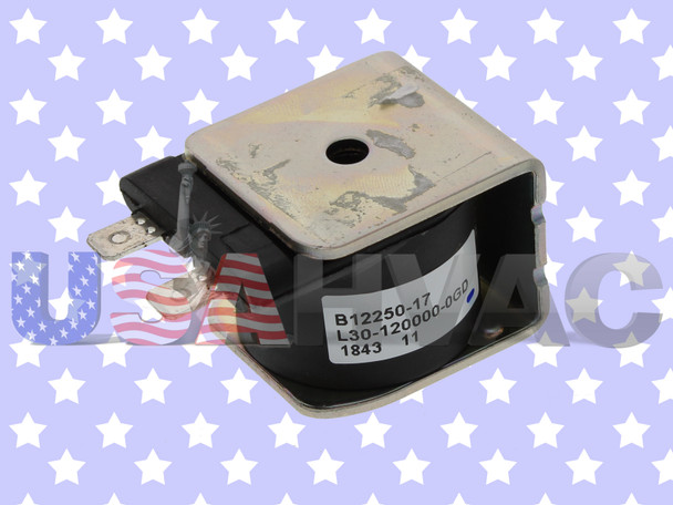 B12250-17 B1225017 Furnace Heater AC A/C Air Conditioner Conditioning Condenser Heat Pump Relay Contact Coil Voltage Amp Repair Part B12250-17 B1225017 Furnace Heater AC A/C Air Conditioner Conditioning Condenser Heat Pump Relay Contact Coil Voltage Amp Repair Part