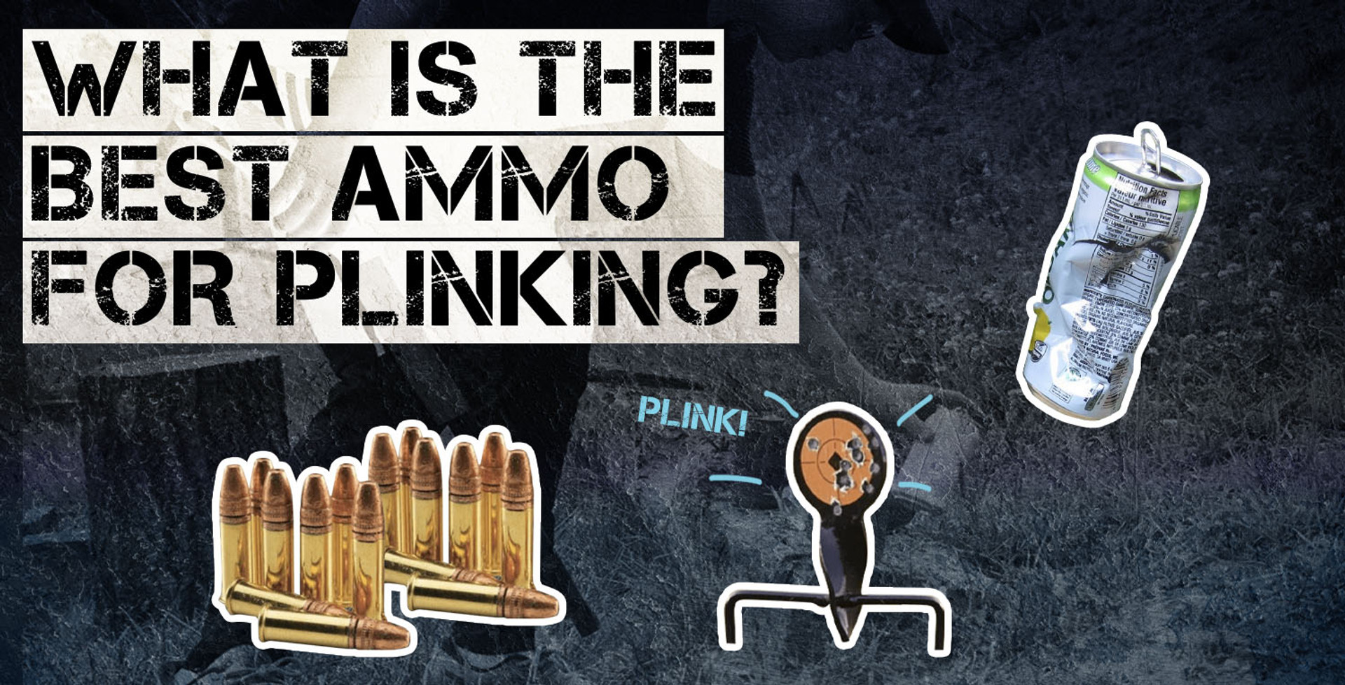 What is the best ammo for plinking? thumbnail image