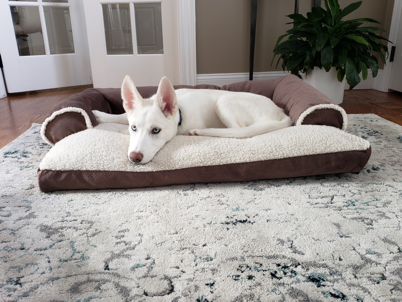 Dog Bed King