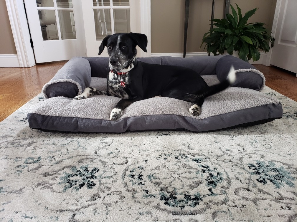 Dog Bed King