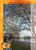 Washington DC (Physical DVD)