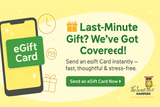 Why eGift Cards Are the Best Last-Minute Gift Idea? Why eGift Cards Are the Best Last-Minute Gift Idea?