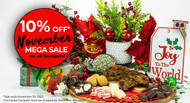 10% Off* November  MEGA SALE!
