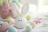 Easter Traditions for Pets: Celebrating with Our Furry Friends!