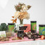The Vegan Hamper filled with gourmet plant-based chocolates, nuts, and cruelty-free treats.