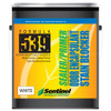 Sentinel 539 Smoke & Odor Encapsulant * With Anti-Microbial Product Protection WHITE 1 gal.