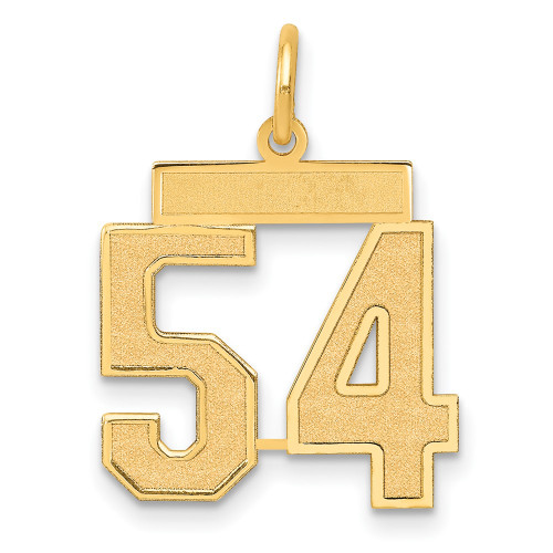 14k Medium Satin Number 54 Charm LSM54