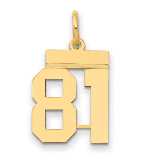 14k Small Polished Number 81 Charm LS81