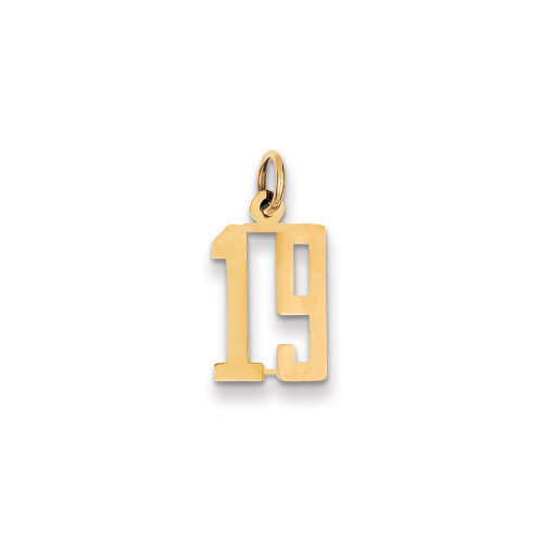 14k Small Elongated Number 19 Charm LES19