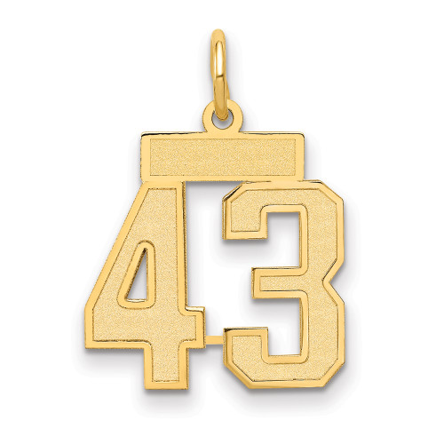 14k Small Satin Number 43 Charm LSS43