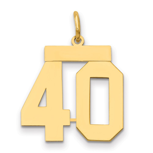 14k Medium Polished Number 40 Charm LM40