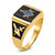 14k Men's Polished and Textured with Black Enamel & Onyx Masonic Ring Y4100M