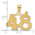 14k Polished Etched Number 48 Pendant AEN48
