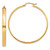10k Polished Hoop Earring 10TA243