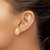 10k Large Sanddollar Post Earrings 10TC590