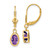 14k 7x5mm Oval Amethyst Leverback Earrings XLB106AM