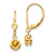 14k Citrine Round Leverback Earring XLB100CI
