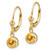 14k Citrine Round Leverback Earring XLB100CI