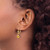 14k Citrine Round Leverback Earring XLB100CI