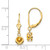 14k Citrine Round Leverback Earring XLB100CI
