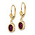 14k 7x5mm Oval Rhodolite Garnet Leverback Earrings XLB106RG