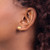 Sterling Silver/Gold-plated Pennsylvania State Earrings XNE50GP-PA