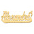14k Yellow Gold Diamond-cut Underlined Name Plate XNA151Y