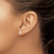 Sterling Silver/Rhodium-plated New Jersey State Earrings XNE50SS-NJ