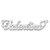 Sterling Silver/Rhodium-plated Diamond-cut Name Plate XNA162SS
