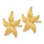 14k Starfish Post Earrings TC587
