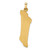 14k Two-tone Hollow Mezuzah and Star Pendant XR2027
