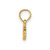 10K Nurse Pendant 10C2963