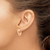 14k Rose Gold Polished Hoop Earrings TF970