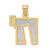 14k Two-Tone Solid Satin Chai Charm XK674