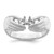 14k White Gold 2 Synthetic Stone Family Ring XMRW51/2SY