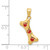 14k Yellow Gold Dog Bone with Red Enamel Paw Prints Pendant YC1104