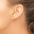 Sterling Silver/Gold-plated Connecticut State Earrings XNE50GP-CT