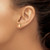 14KY Minnesota State Earrings XNE50Y-MN