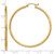 10k Satin and Diamond-cut 2mm Round Tube Hoop Earrings 10TC214