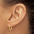 10k Satin and Diamond-cut 2mm Round Tube Hoop Earrings 10TC212